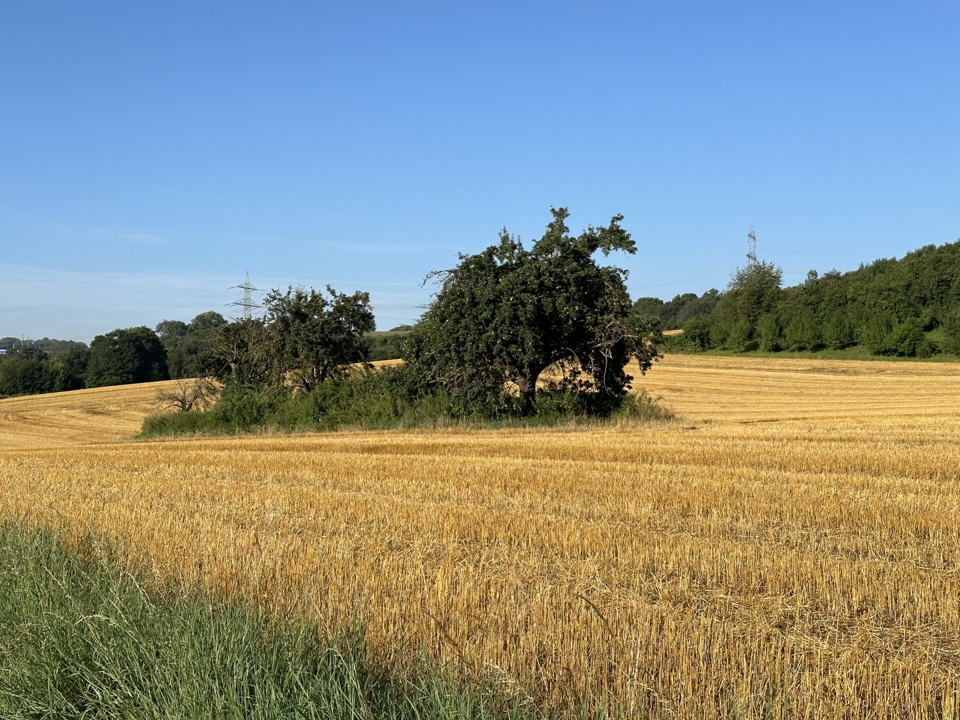 Mein Fortschritt – KW 32/2024